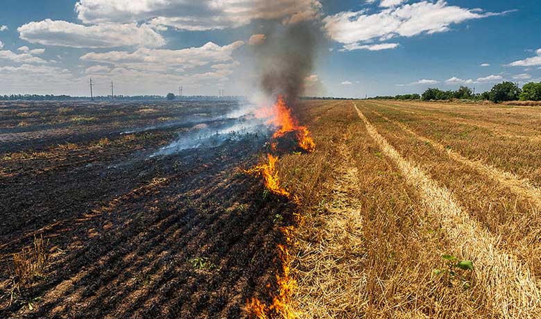 The Impact Of Stubble Burning And Poor Air Quality In India During The   Stubble Burning Og 