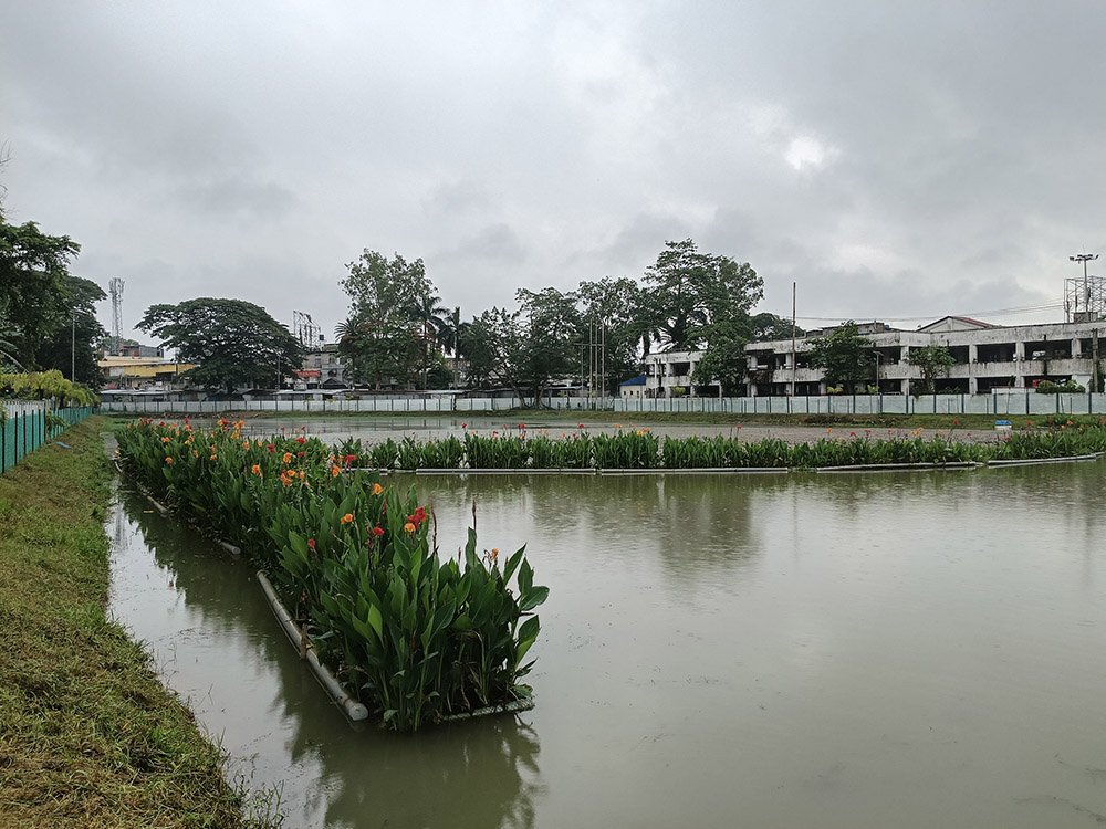 Bioremediation