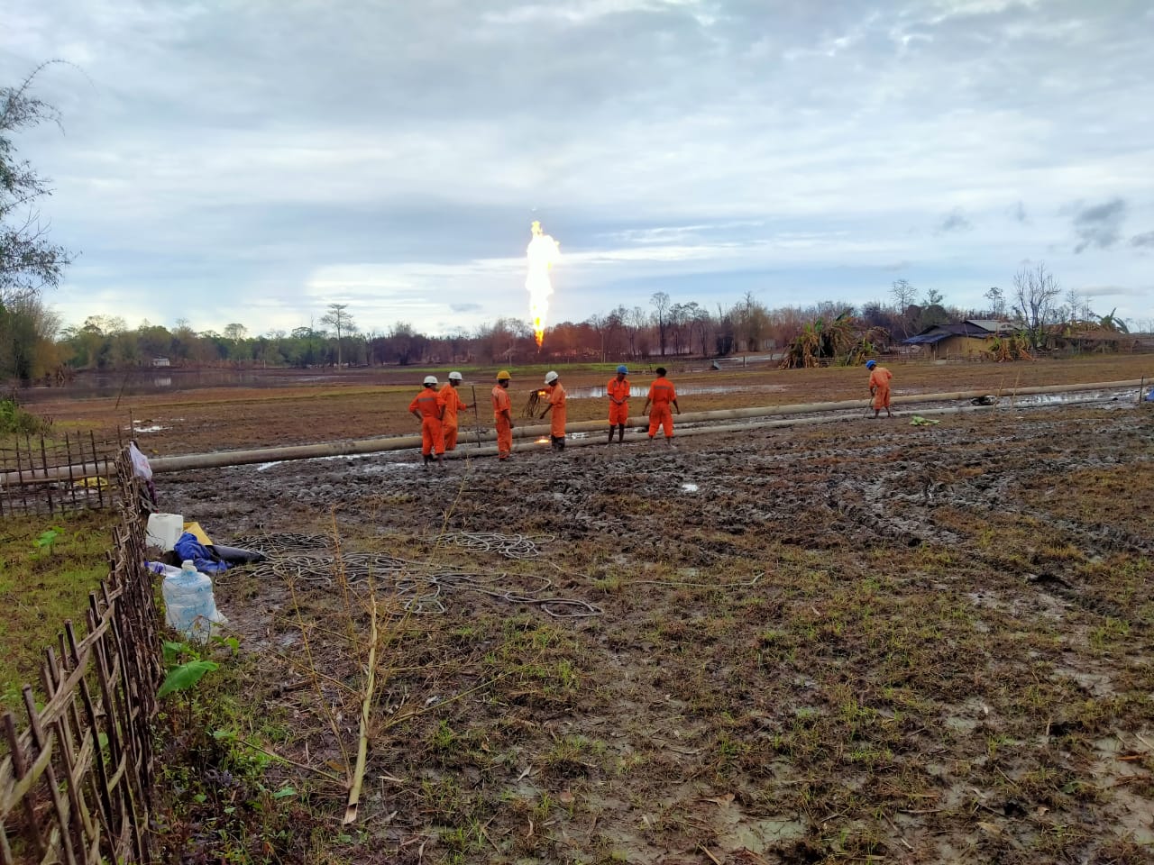  Bioremediation Services