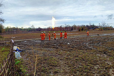 Bioremediation