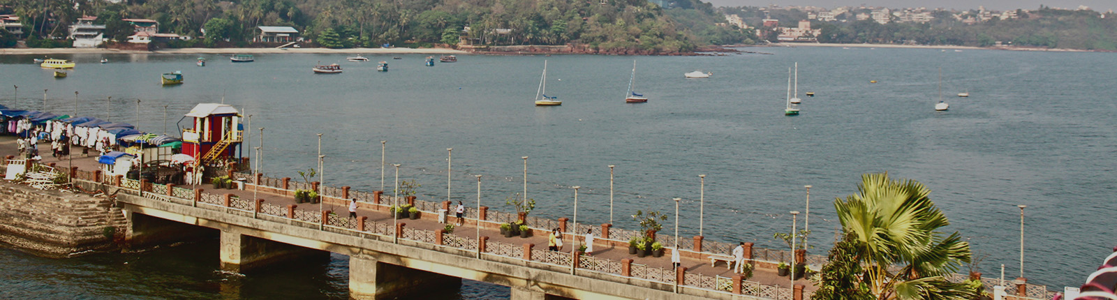 GOA