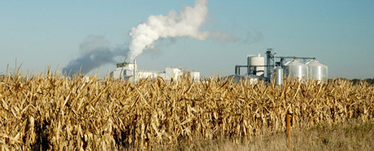 cooling plants