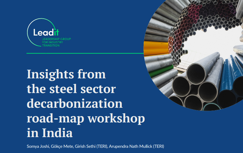 Insights from the Steel Sector Decarbonization Workshop