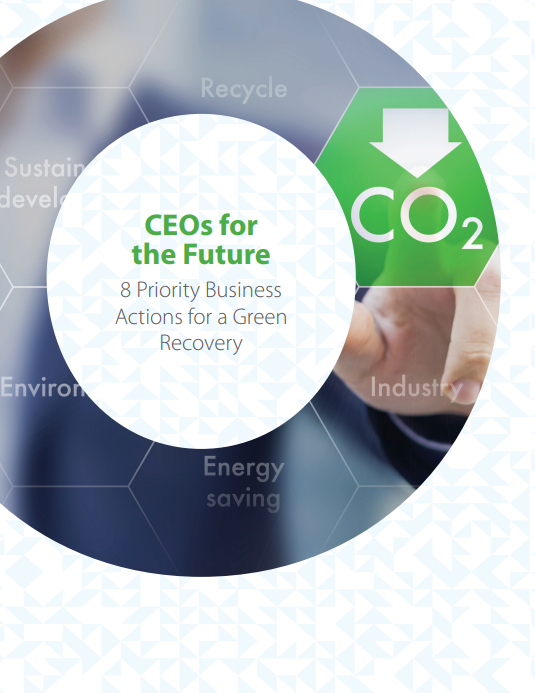 CEOs for the Future: 8 Priority Business Actions
