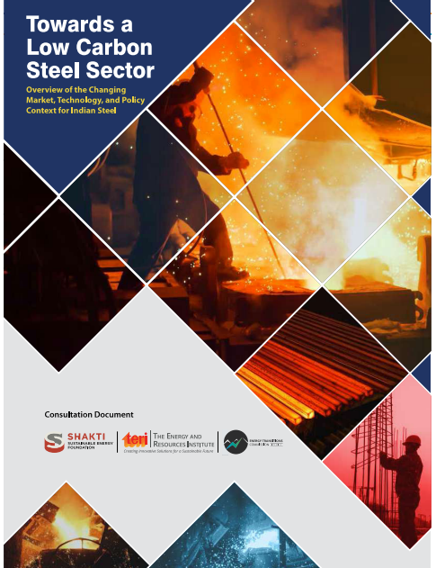 Towards a Low Carbon Steel Sector