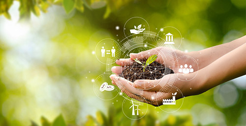 Resources and Sustainable Development