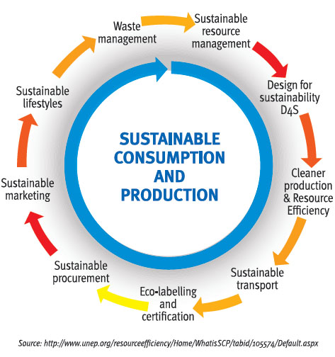 Demystifying Sustainable Consumption Production TERI