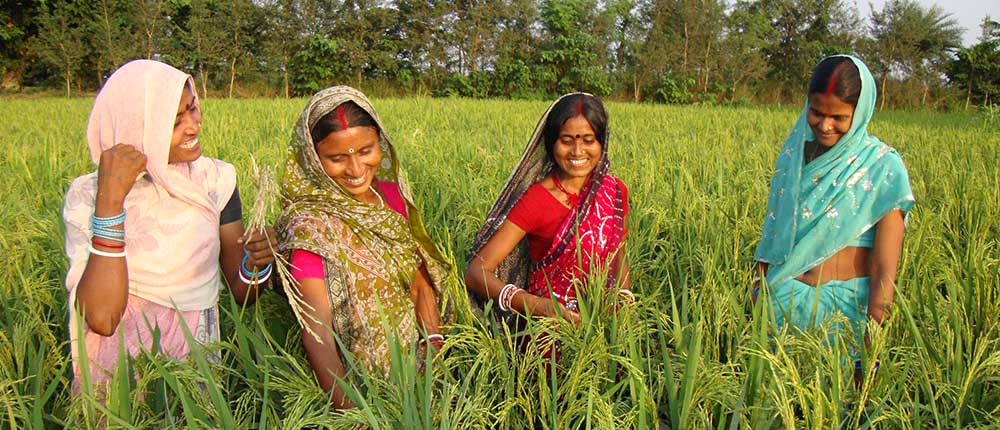 Women in agriculture: Enhancing their role and promoting sustainability and  livelihood support