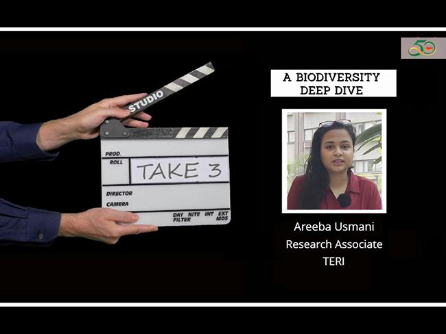 Biodiversity deep drive